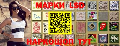 spice Новодвинск