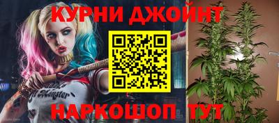 spice Новодвинск